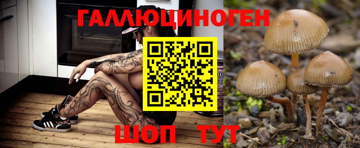 Псилоцибиновые грибы мицелий  Галлюциногенные грибы Psilocybe  Шахты  Вход с VPN 